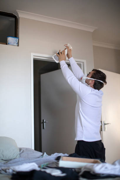 Best Forensic Mold Investigation  in Adelino, NM