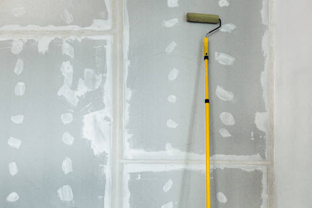  Adelino, NM Mold Removal Pros