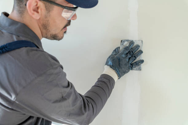 Best Mold Damage Restoration  in Adelino, NM