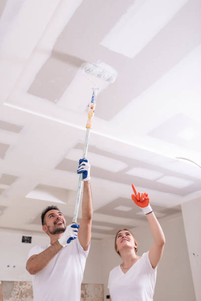 Best Attic Mold Removal  in Adelino, NM