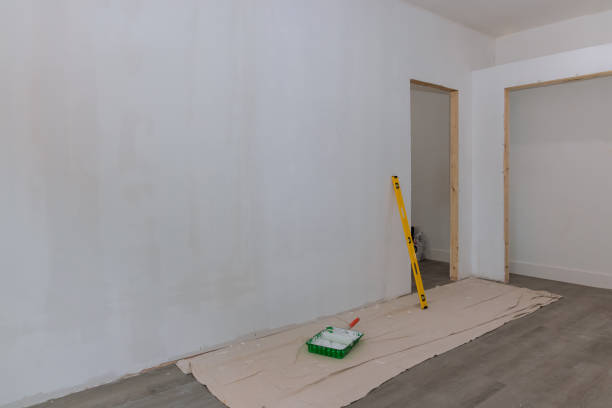 Trusted Adelino, NM Mold Removal Experts