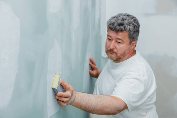 Best Post-Construction Mold Inspection  in Adelino, NM