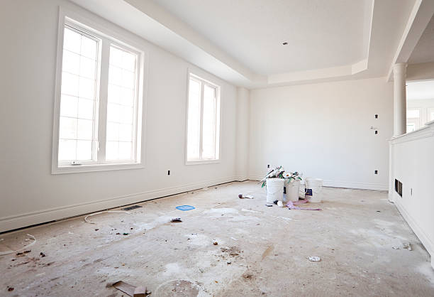 Best Black Mold Removal  in Adelino, NM